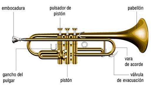 Neufday Instrumento de Viento Profesional Trompeta de latón Azul Trompeta de latón Instrumento de Viento Musical con Conjunto de Herramientas auxiliares 